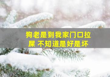 狗老是到我家门口拉屎 不知道是好是坏